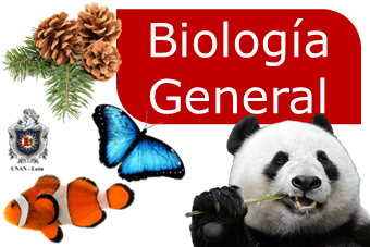 Biologia General G40